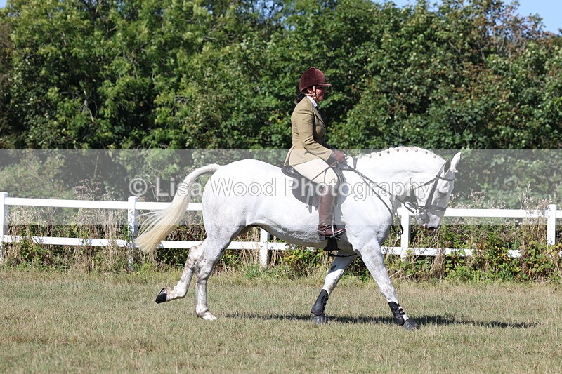 3E7A5871 - Class 5: Working Hunter 90cm