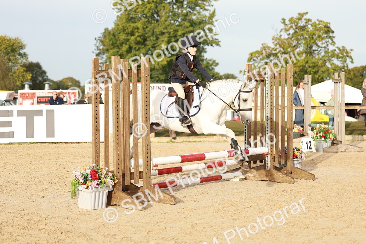 SBM_55500 - J11 - Junior Pony 50cm Championship