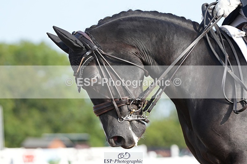 250815-090551-00018 - 004-Amy.CoxPretty.Picture