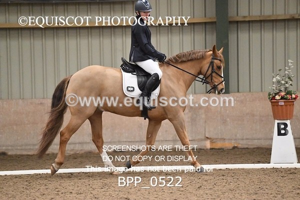 BPP_0522 - 15 - D JONES