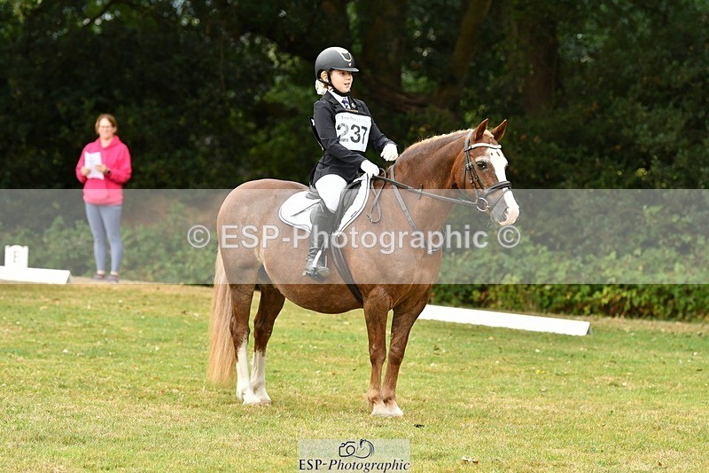 250820A-121751-05545 - 12 to 13.00