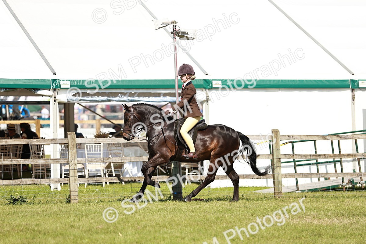 SBM_18532 - Class 112-113 - BSPS LIHS Working Sports Pony