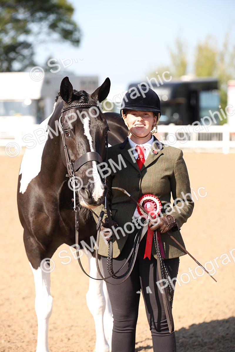 SBM_01562 - Class 15 IH Coloured