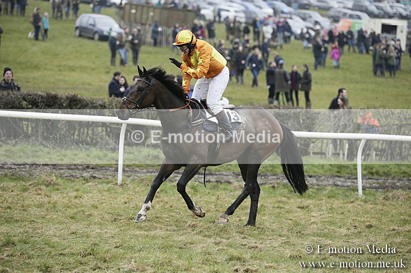 PtP 020418 -160 - Old Berks Point-to-Point Races Easter Monday 02/04/18