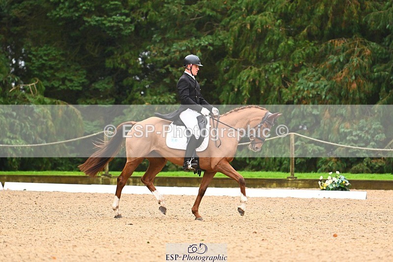 231021-104052-14508 - 231-ROUGE.ANGEL-Fred.Scala-DR