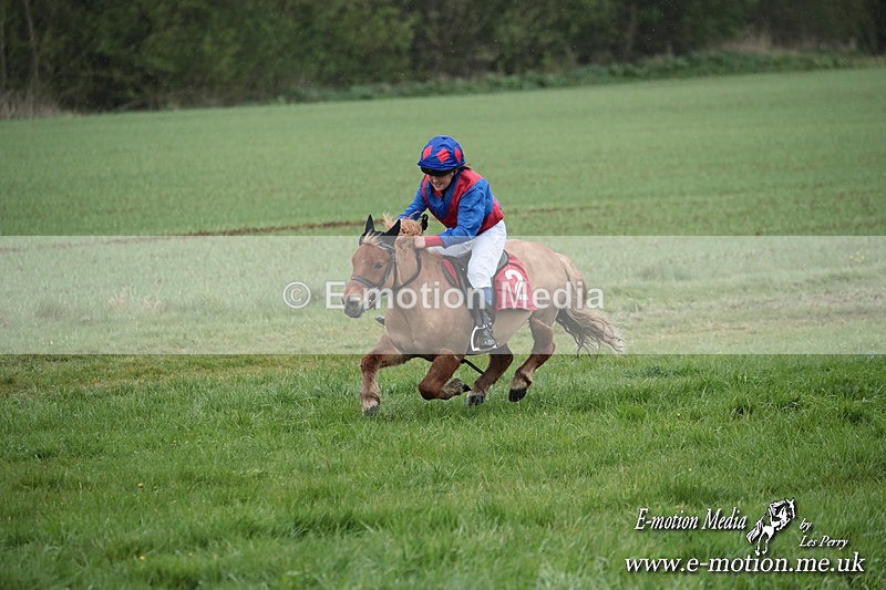 SHETPR 210425 97 - Shetland Ponies Paxford Races 21/04/25