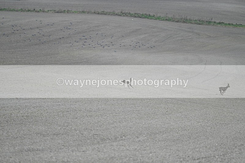 WJ7_7971 - Line 2 A camera