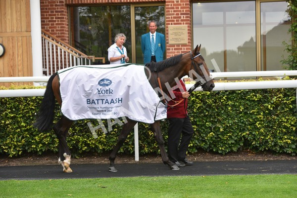 yr20082021r4-51 - Race 4 3.35pm Coolmore Wootton Bassett Nunthorpe Stakes (British Champions Series Race)