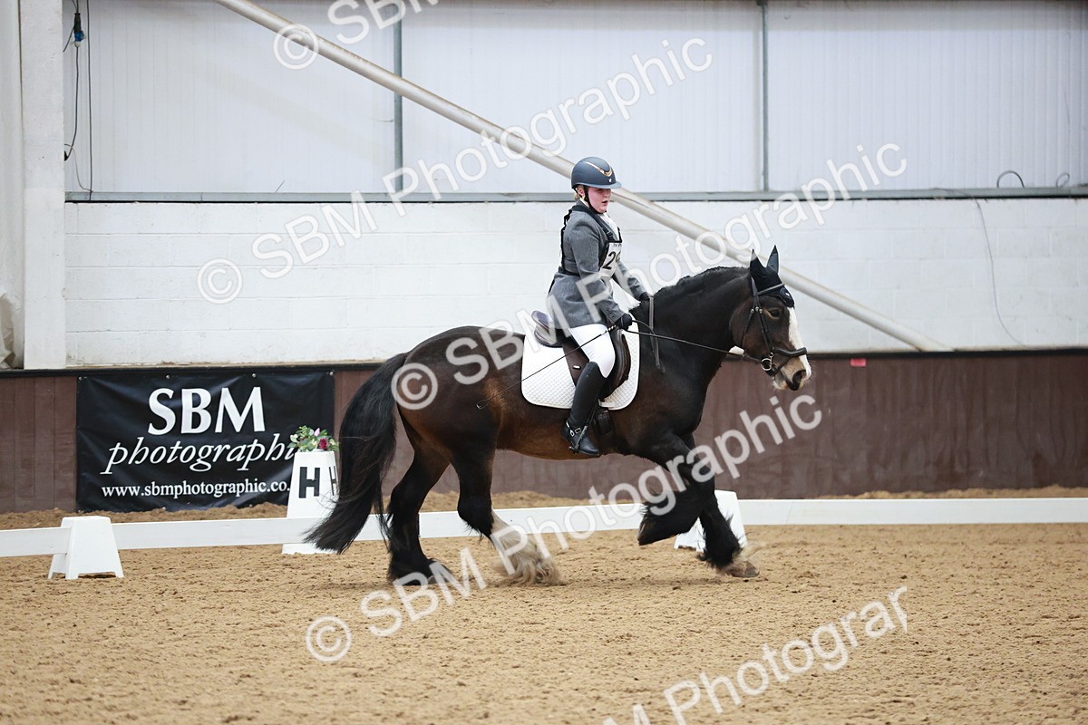 SBM_003858 - Class 2 - Novice 2020