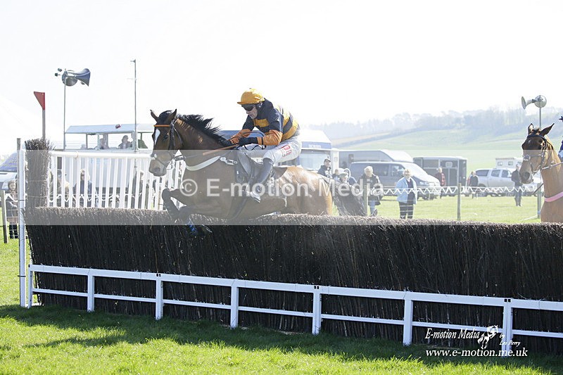 PtP 190322 231 - Wilton Hunt PtP Milborne St Andrew 19/03/22
