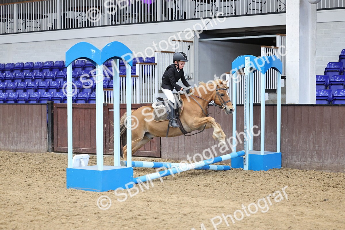 SBM_006933 - Class 1 - 40cm showjumping