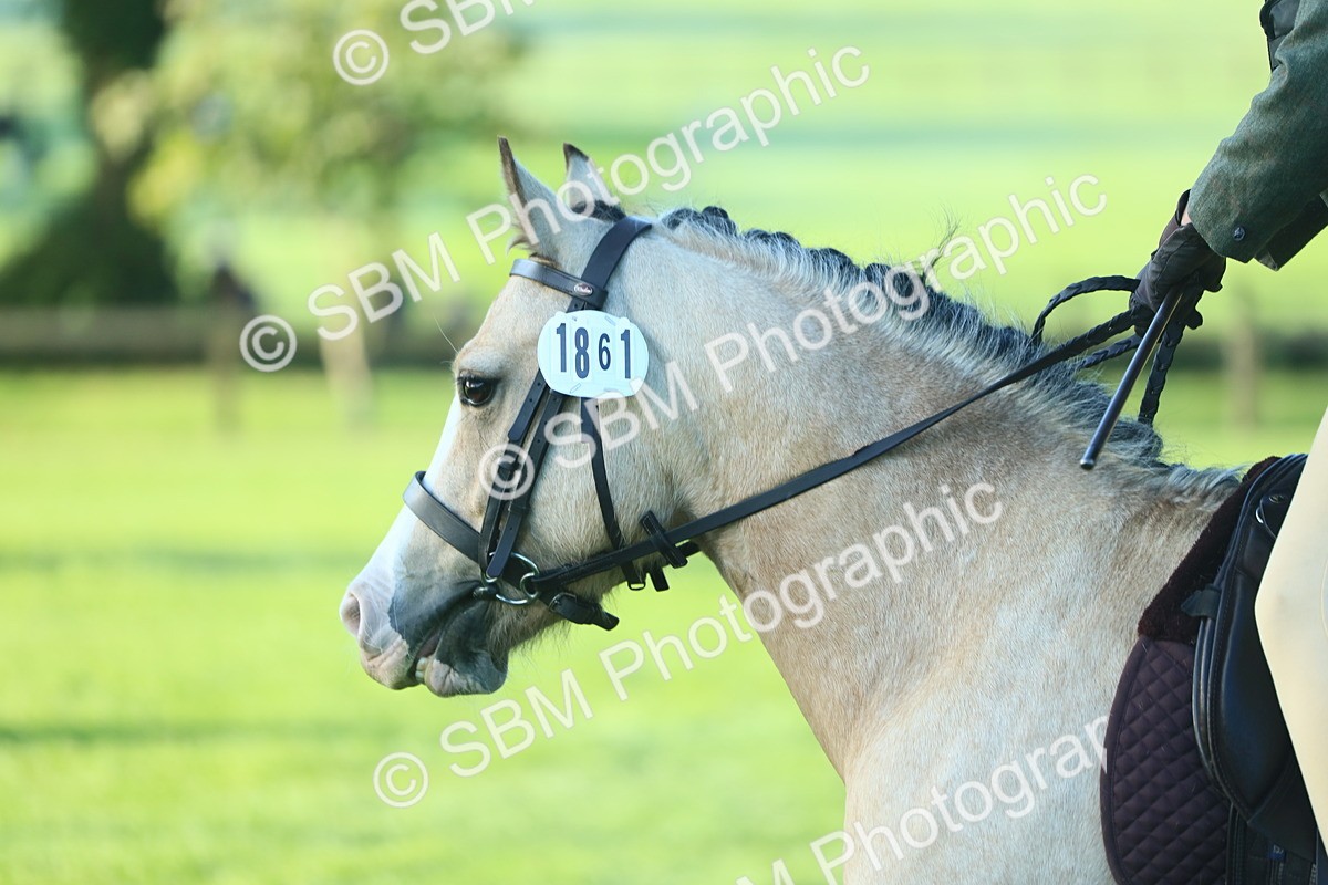 SBM_31850 - S28 - Nursery Stakes Working Hunter Pony
