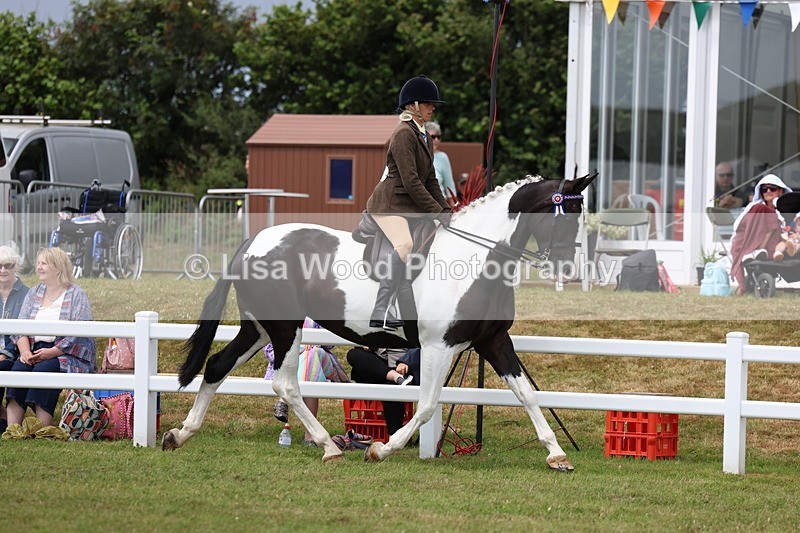 3E7A0833 - Class 8: Open Riding Horse/Hack