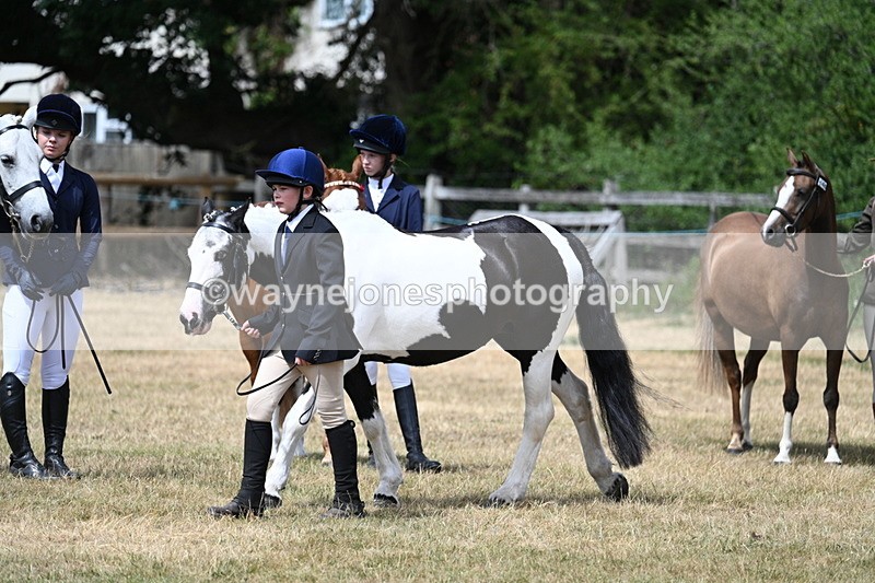 WJ7_1654 - Class 4 Prettiest Mare up to 14.2hh in hand