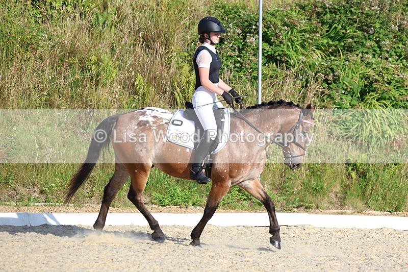 3E7A3615 - Class 2: Intro 1 2024 Section B