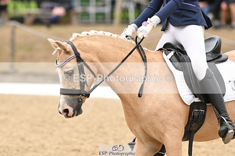 250808A-114057-00666 - 155-Rose.Cassapi-Westfirle.Golden.Oriole