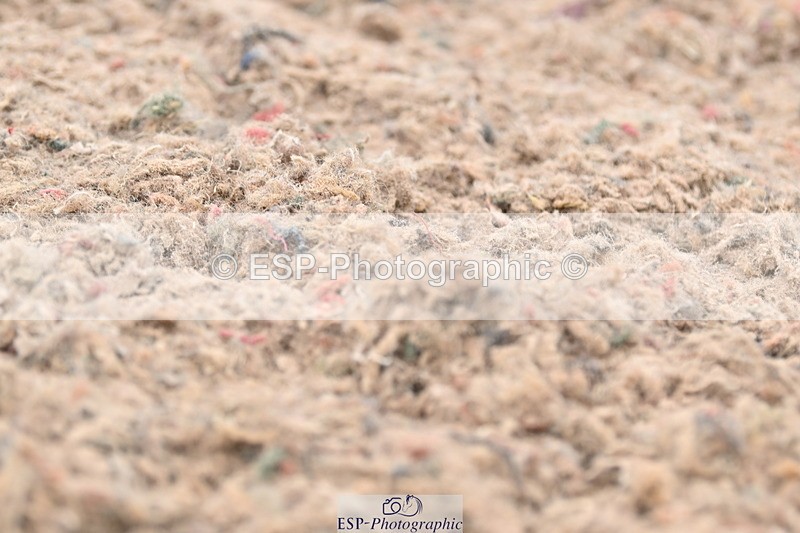 240623A-134818-18431 - Cls 51 BD Elementary 53