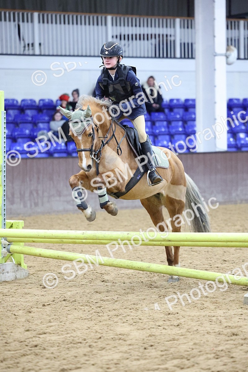 SBM_000994 - Class 3 - Christmas Tree Stakes - 60cm