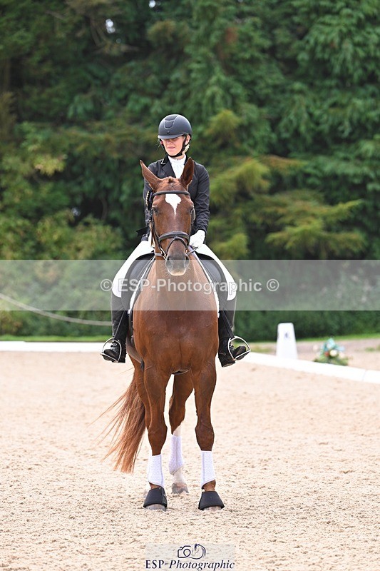 240809-131656-01044 - Preliminary Silver