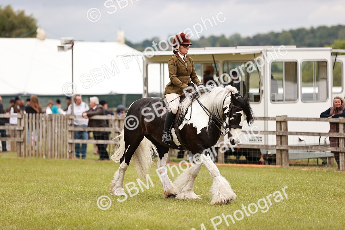 SBM_06208 - Class 39-41 TGCA In Hand and Ridden