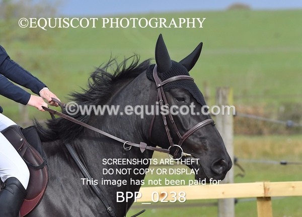 BPP_0238 - CLASS 2 FRI Senior BritiNovice/ 90cm Open