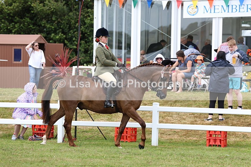 3E7A0801 - Class 8: Open Riding Horse/Hack