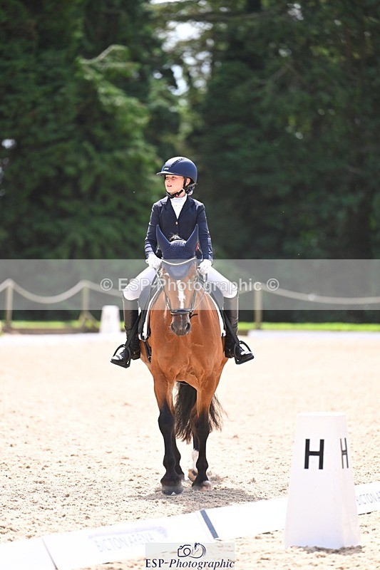 240809-121003-00689 - 211-Amelia.Dovey-Caederwen.Lady.Elinor