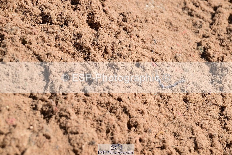 260425-133928-15791 - Cls 7, 2 Star Medium Tour, Start to Break