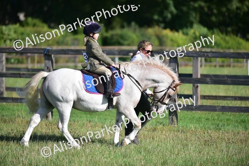 20260906-0502 - Class 6 - Minimus Jumping
