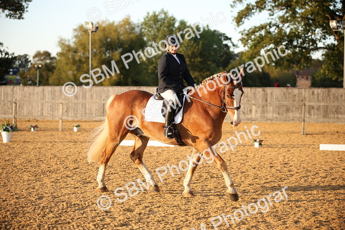 SBM_31524 - D11 - Small Tour Championship - Prelim 13