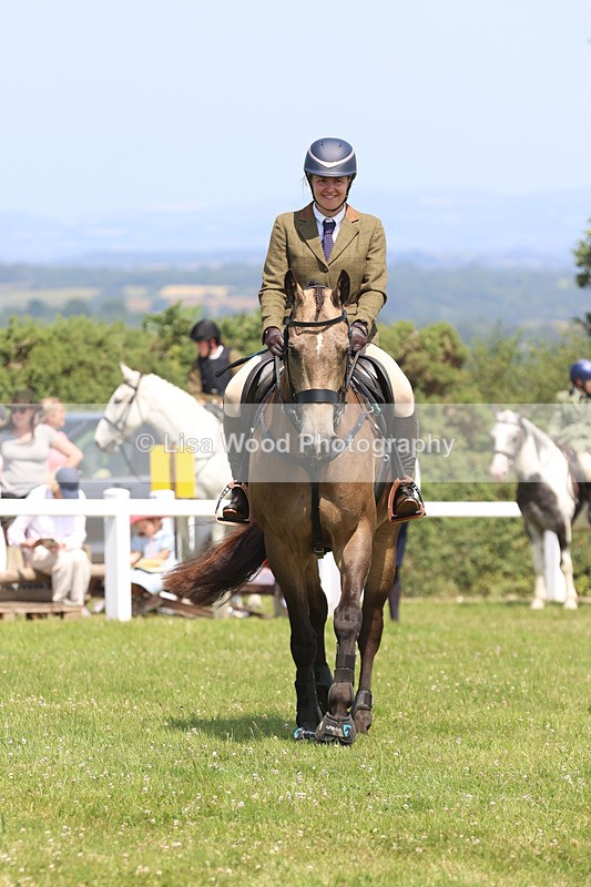 JPP_3109 - Class 22: Working Hunter 70cm