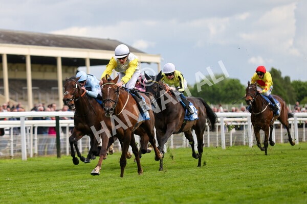 yr11052022r6-16 - Race 6 4.45pm Conundrum HR Consulting Stakes