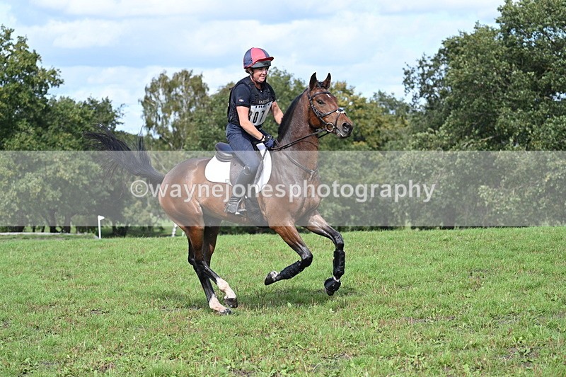 WJ7_2407 - Time 13:55 to 14:05