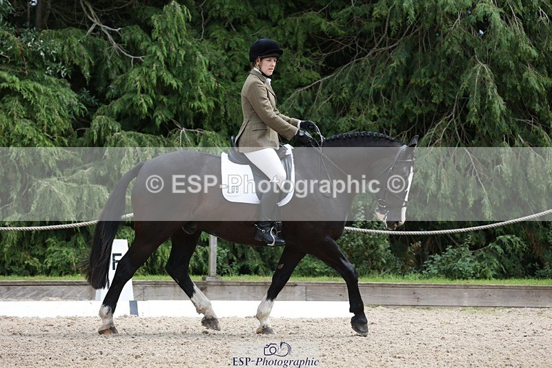 230812-134118-04293 - Cls 5 Novice Bronze 13.40 to 14.45 break