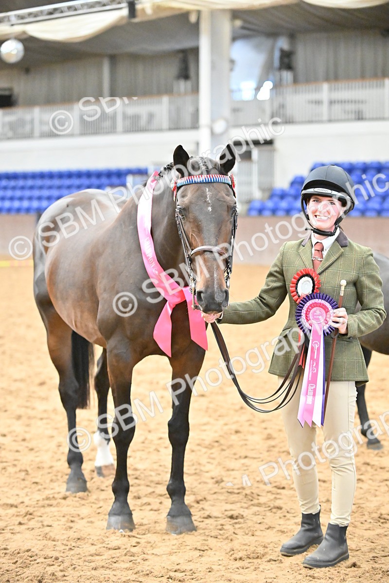 SBM_000744 - Class 14 - SSADL In Hand Championships