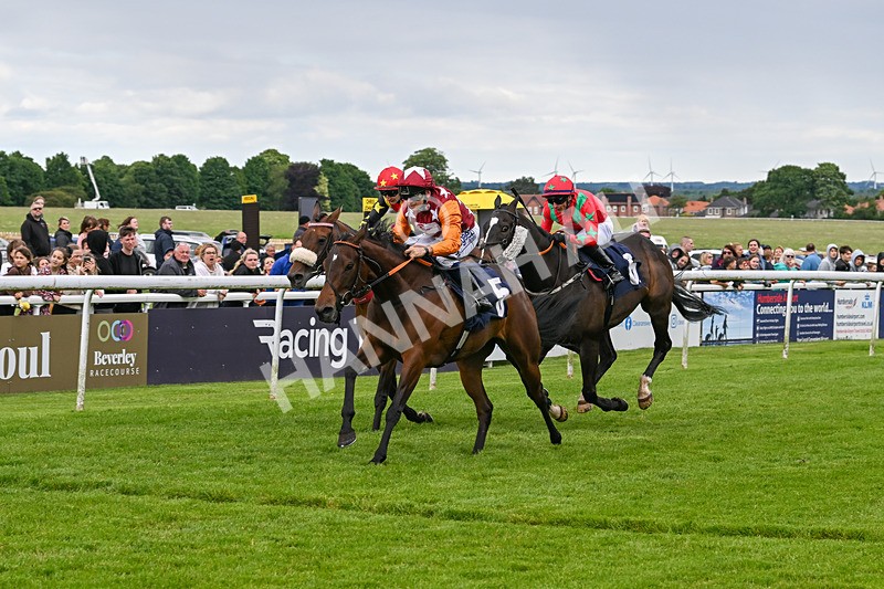 290524-Race 7-Lincoln Rockstar-7310 - Race 7