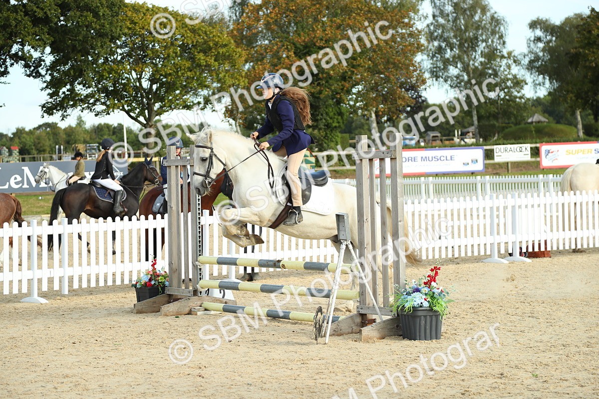 SBM_53546 - J8 - Junior Pony 65cm Championship