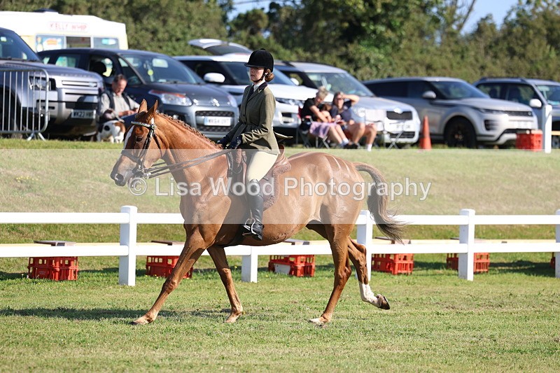 3E7A5419 - Class 2: Rising Star Large Hack/Riding Horse