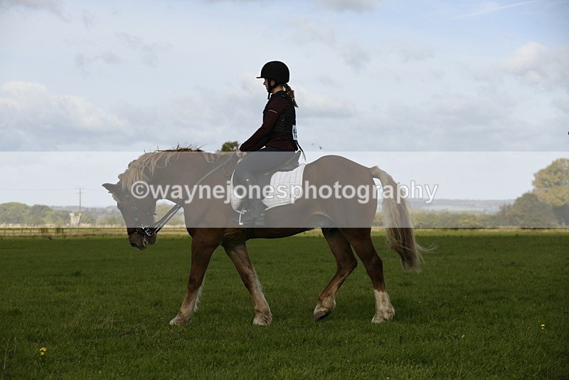 _DSC6119 - Time 11:23 to 12:05