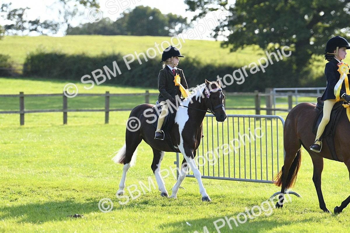 SBM_52464 - S22 - 1st Ridden Show & Show Hunter Pony