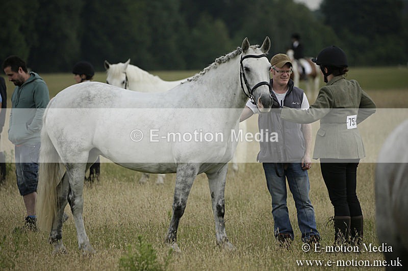 B230619-0195 - Bourne Valley Riding Club Summer Show 23/06/19