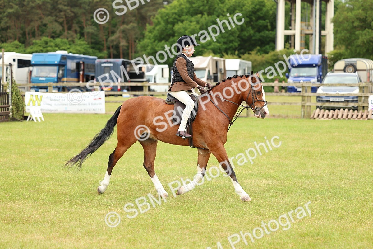 SBM_10223 - Class 44-45 - LIHS BSPS Open Nursery and Cradle Stakes