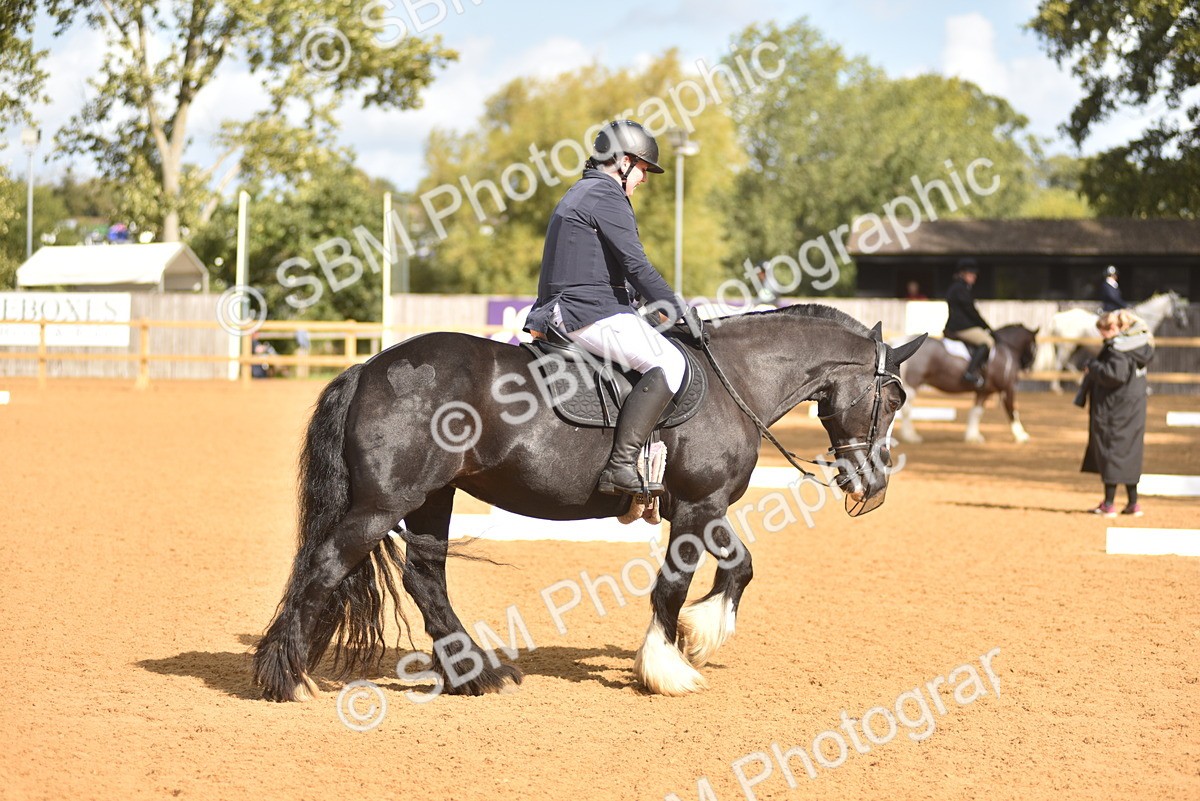 SBM_03281 - D4 - Small Tour Championship Intro 4