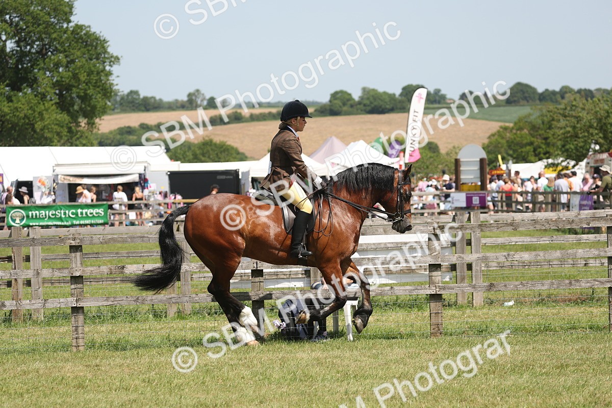 SBM_06934 - Class 26-30 - Mountain and Moorland Ridden