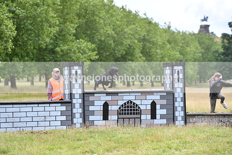 WJ5_3069 - Time at Jump 14:47 to 15:17