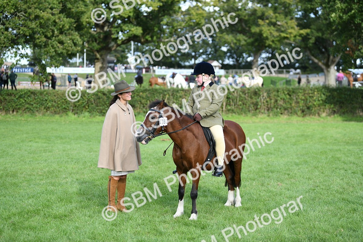 SBM_51871 - S21 - Novice & Newcomers 1st Ridden Pony