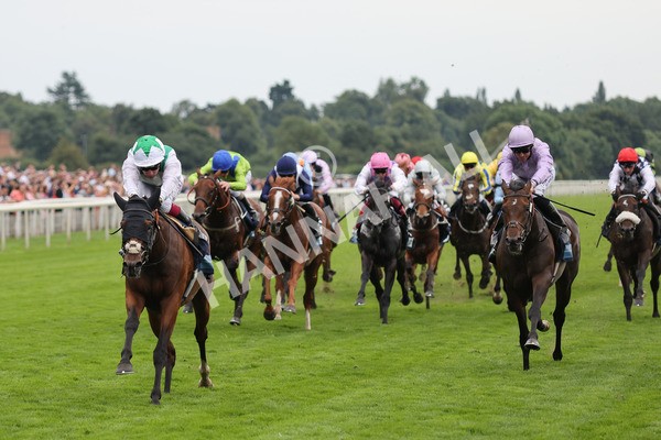 yr20082021r5-17 - Race 5 4.10pm British Stallion Studs EBF Convivial Maiden Stakes (Plus 10 Race)