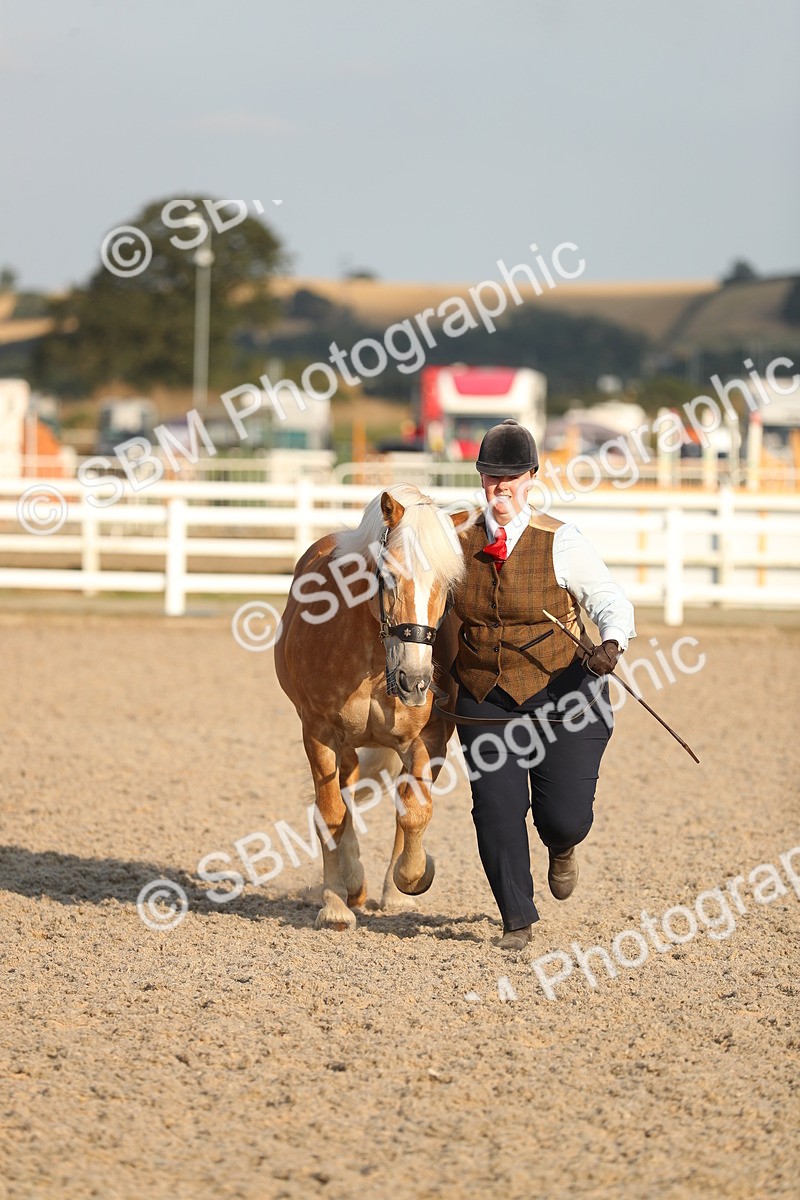 SBM_09049 - Class 29 IH Veteran Pony