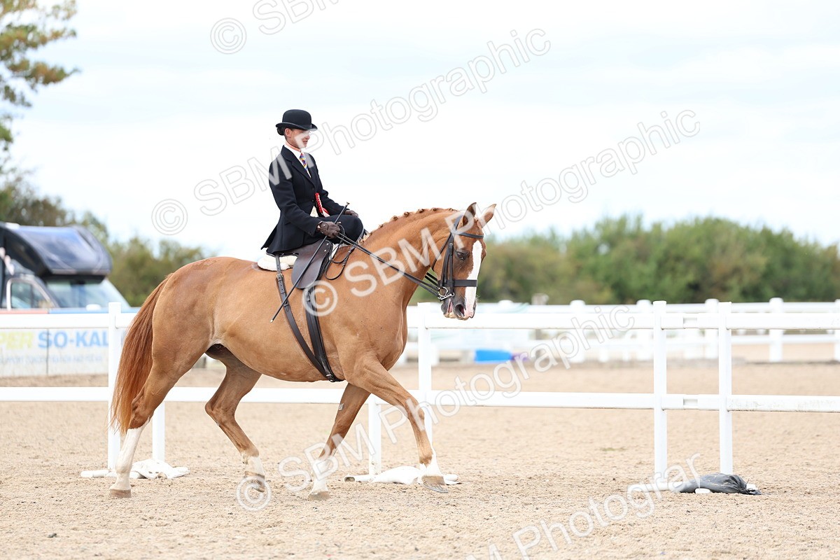 SBM_17290 - Class 315 - Best Horse - Rider Combination
