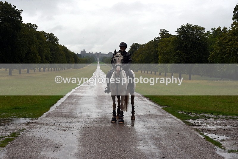 TT3_8873 - Time at Crossing 12:55 to 15:02